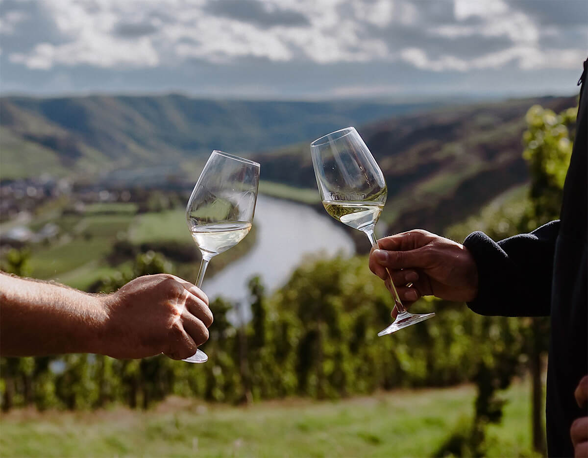 Wein probieren in der Natur Wein probieren in der Natur