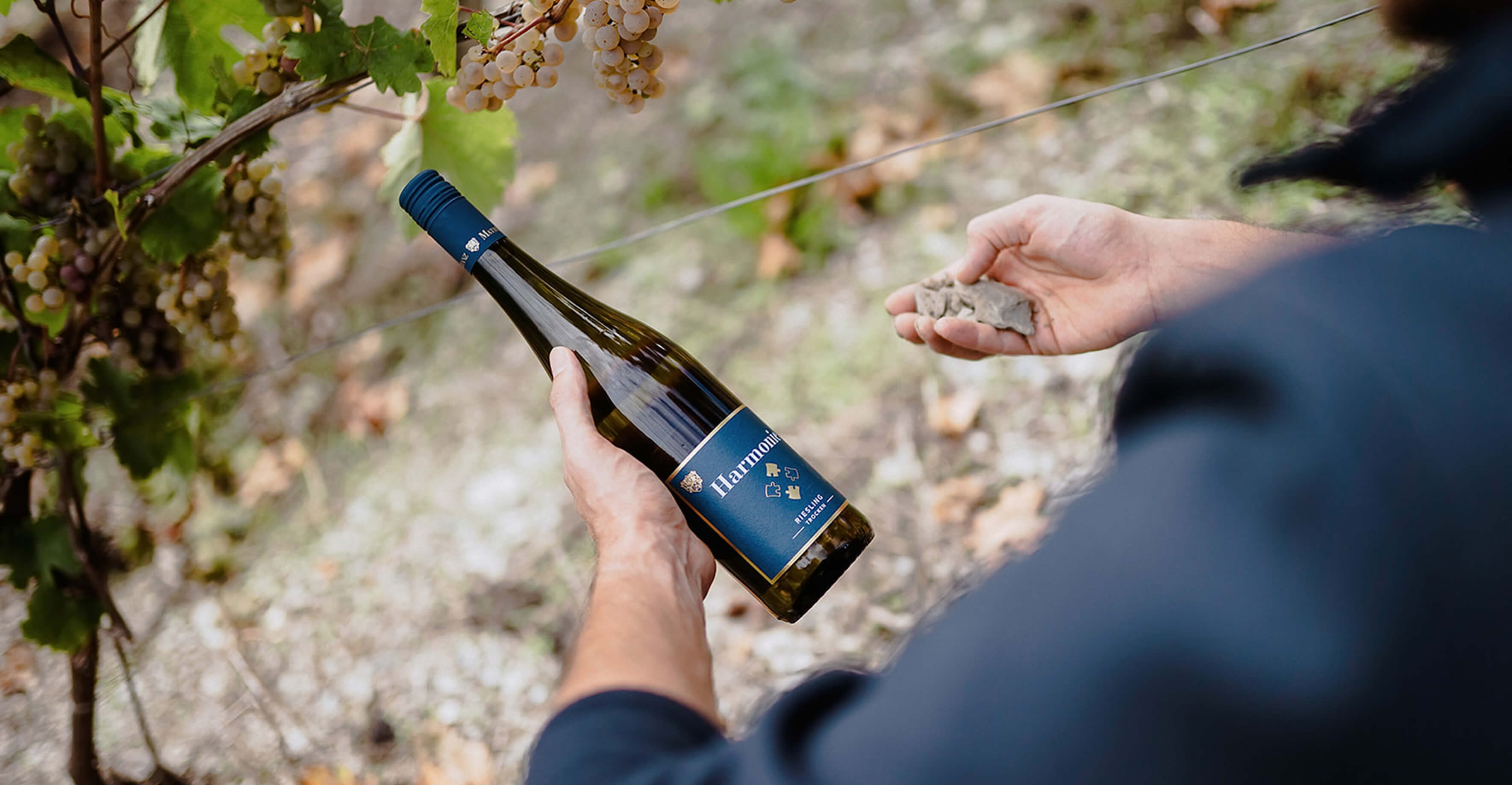 2023 Riesling Trocken - HARMONIE