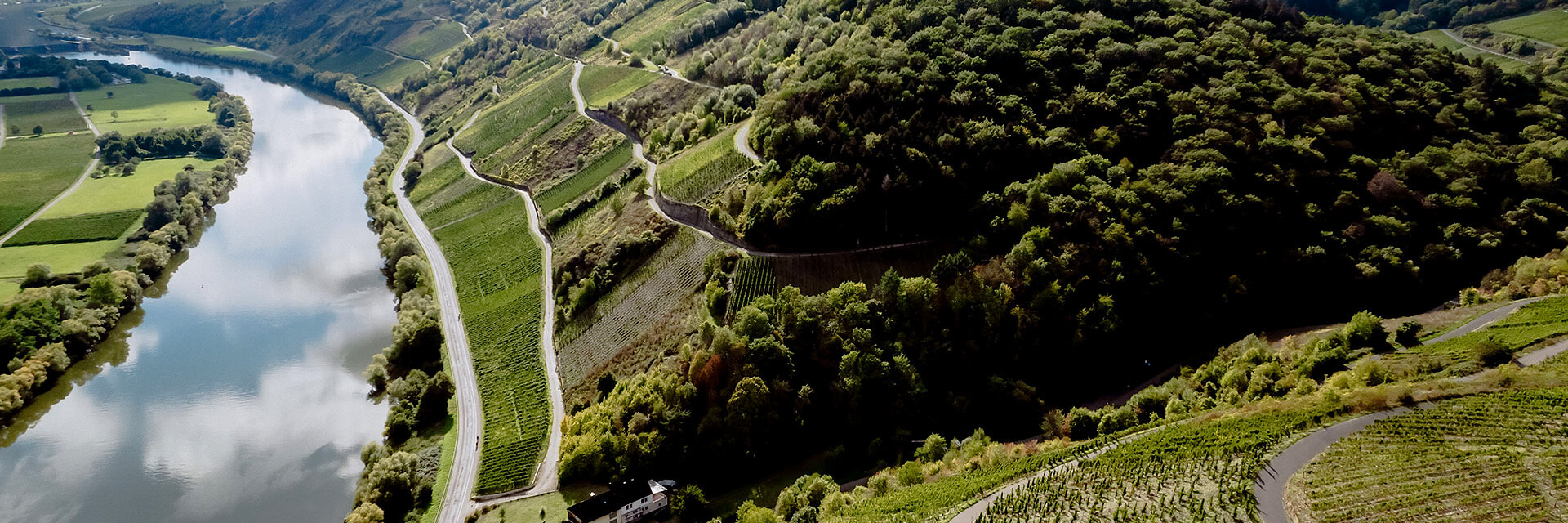 Mosel-Landschaft