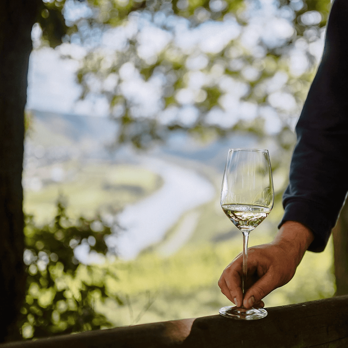 Weinprobe in der Natur