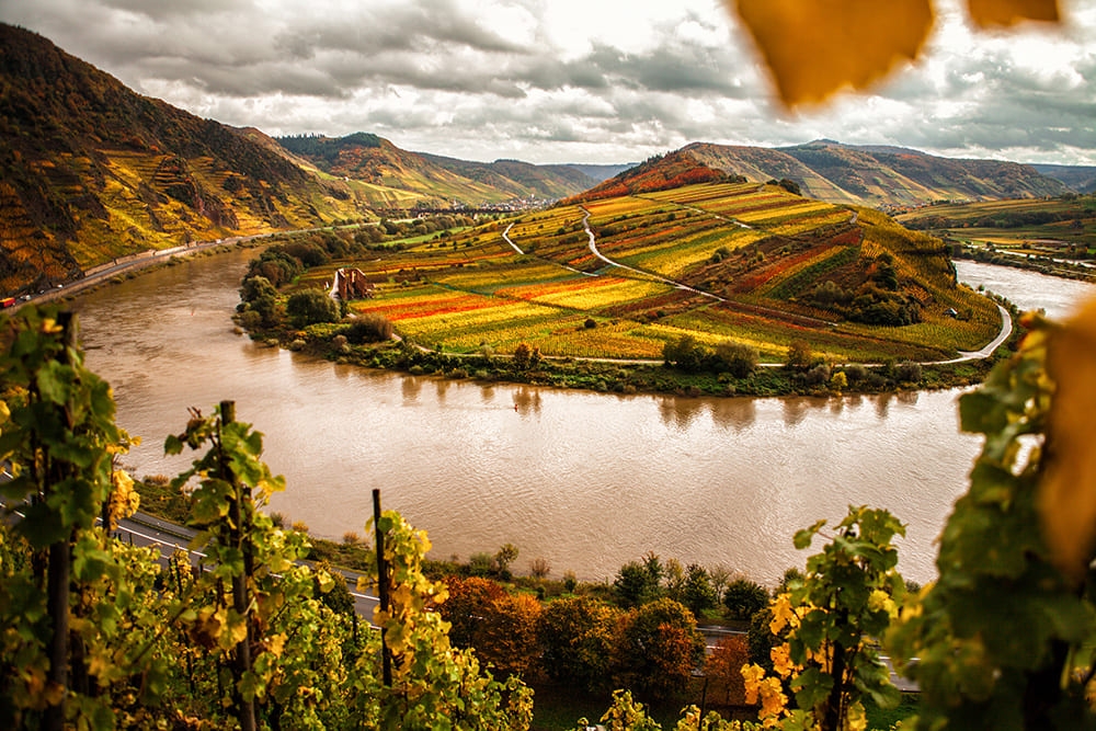 Moselschleife, Bremmer Calmont Moselschleife, Bremmer Calmont