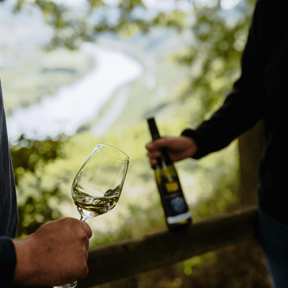 Weinprobe in der Natur
