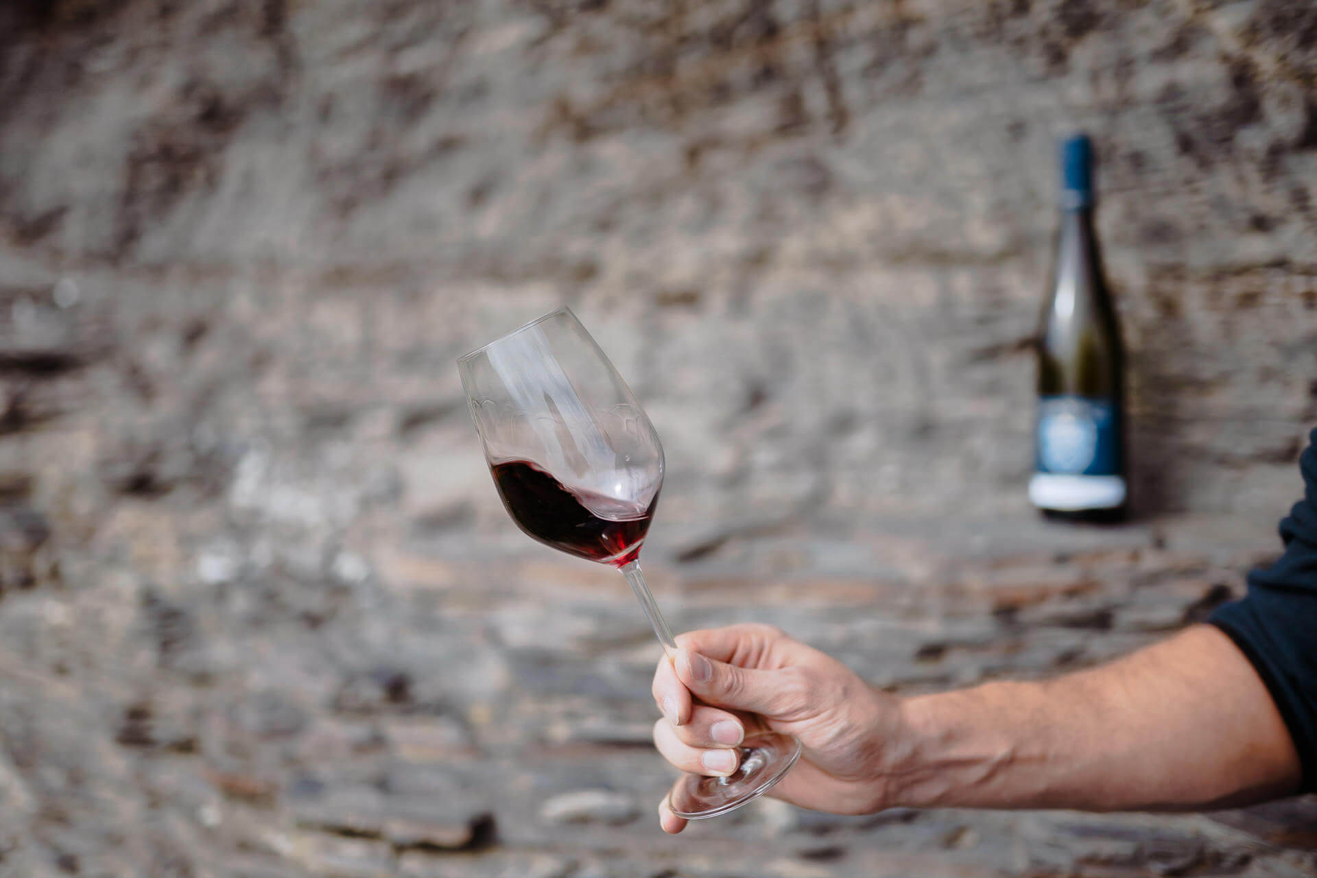 Rotwein probieren in der Natur Rotwein probieren in der Natur