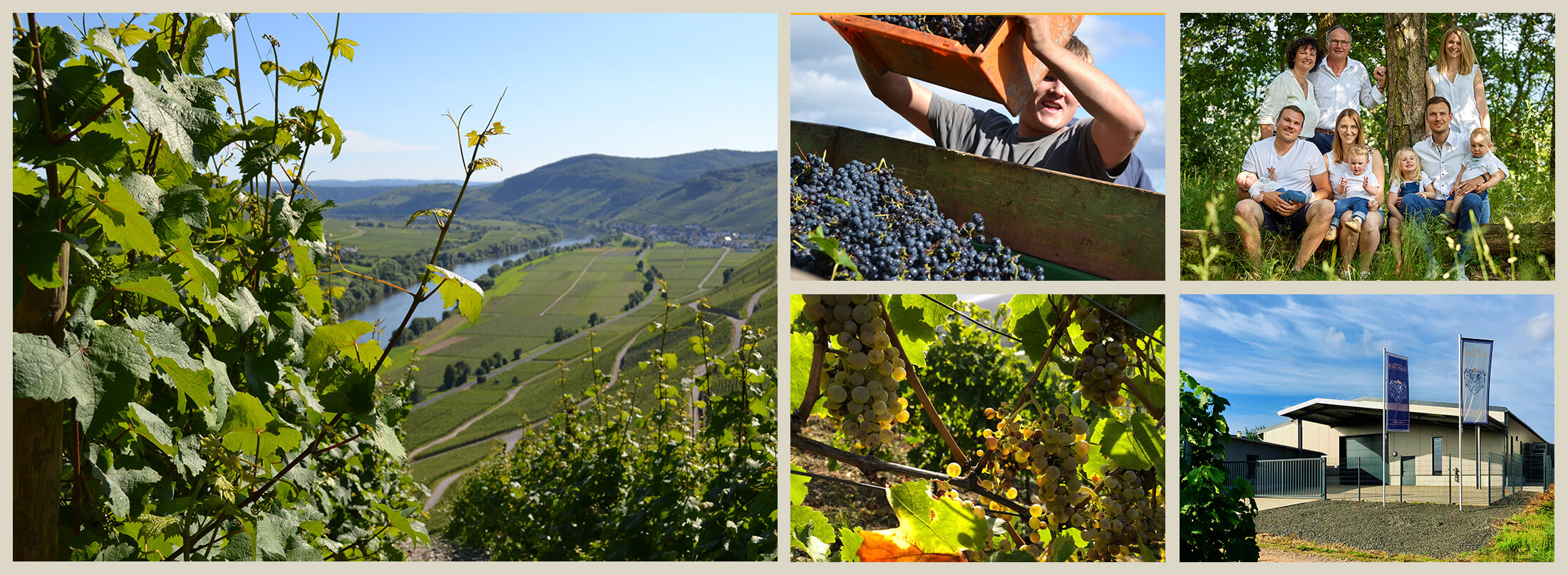 Weingut Mathy-Schanz_Übersicht Weingut Mathy-Schanz_1