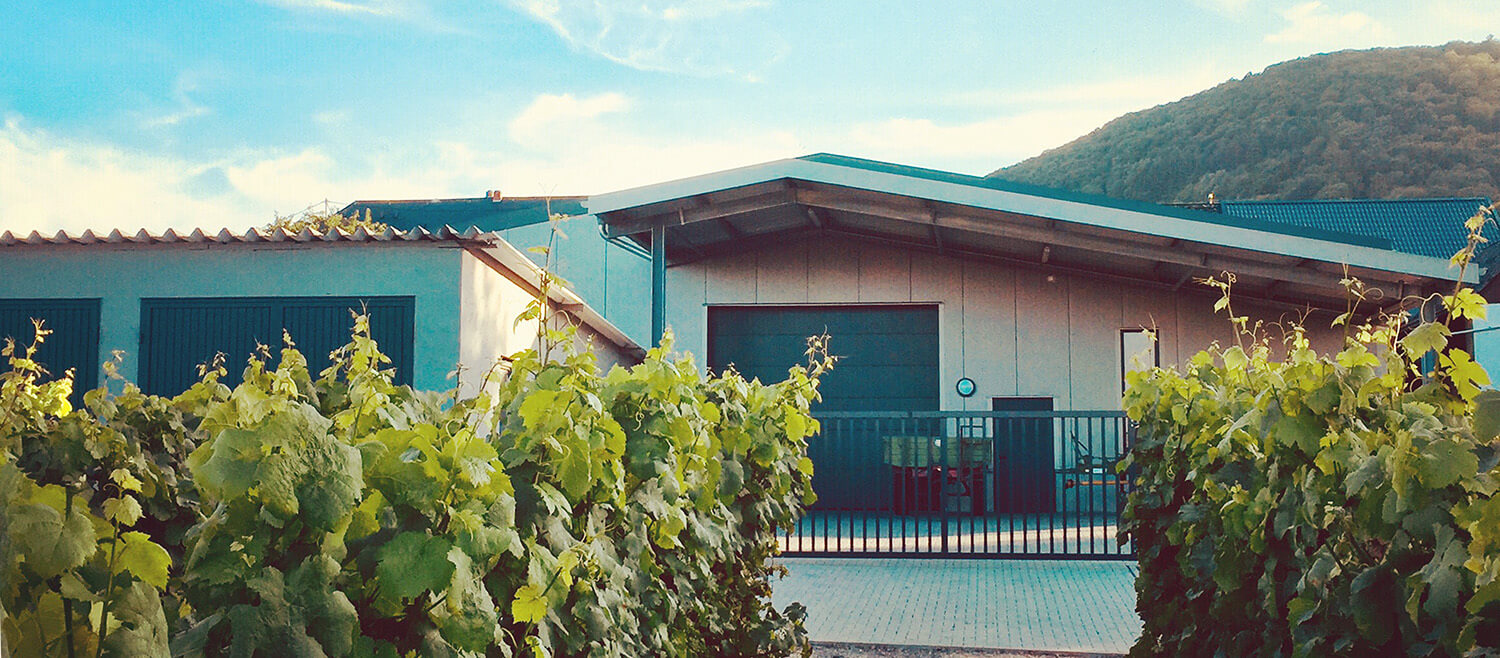 Weingut