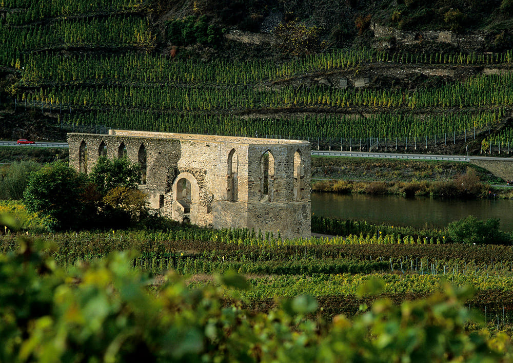 Bremmer Calmont, Klosterstube Bremmer Calmont, Klosterstube