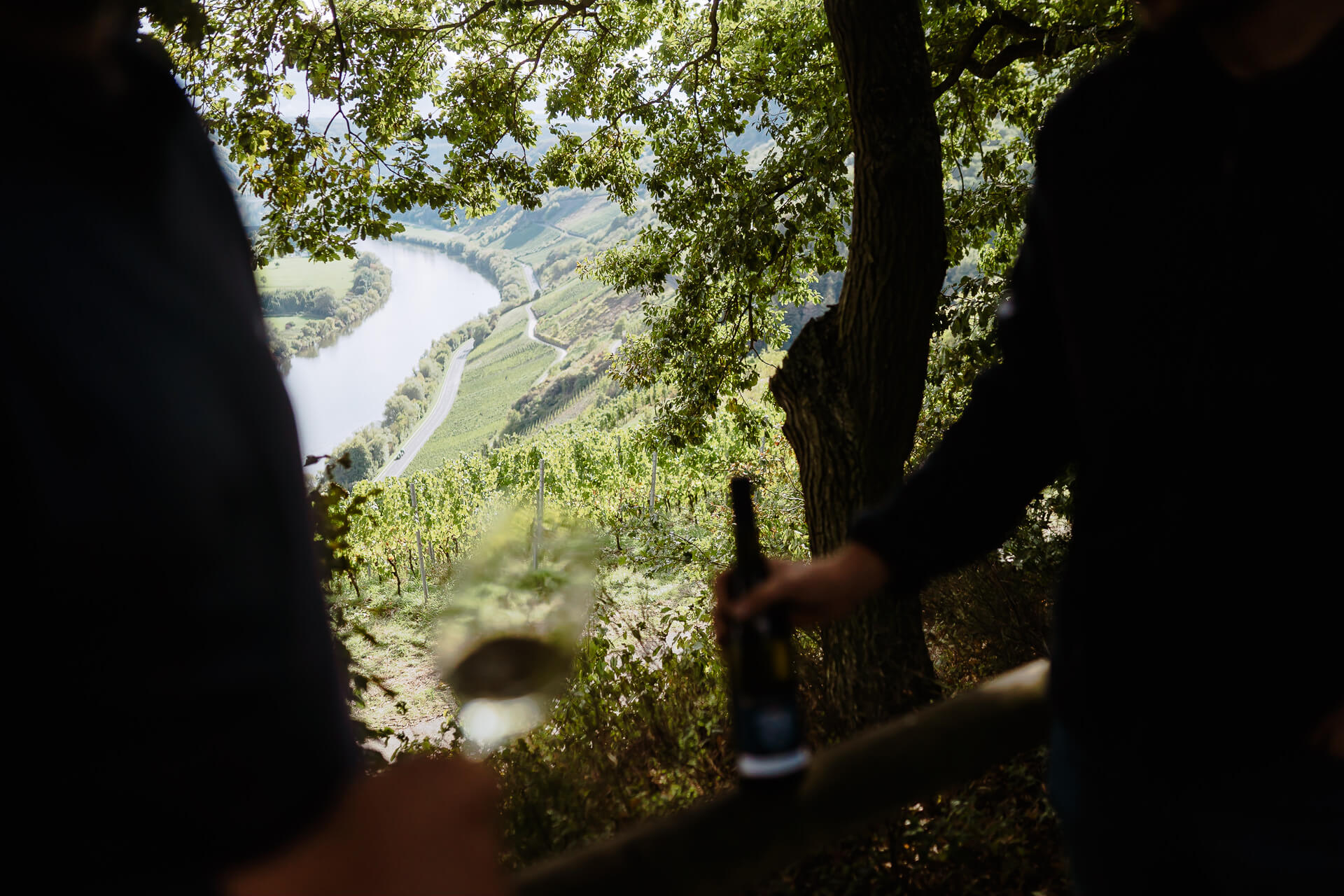 Wein probieren in der Natur Wein probieren in der Natur