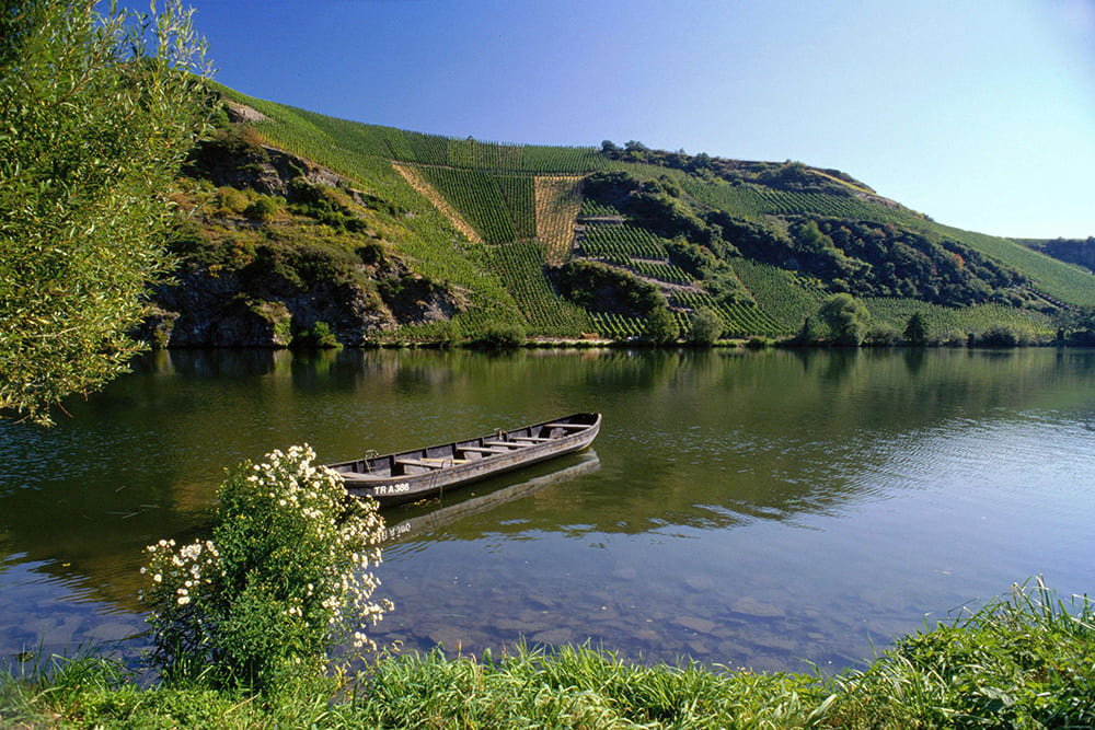 Boot auf Mosel Boot auf Mosel