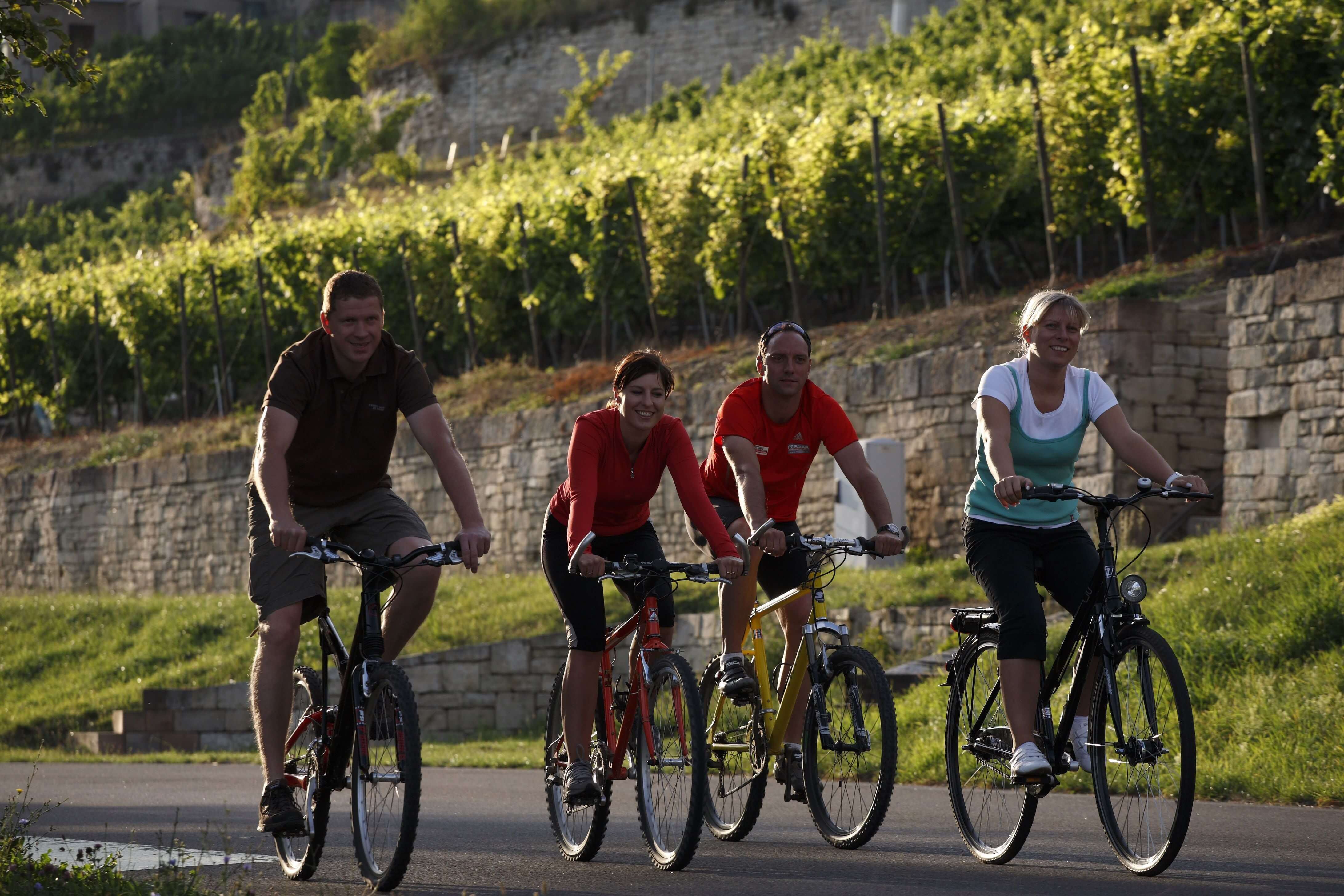 Radfahren am Weinberg - Biking near vineyards
