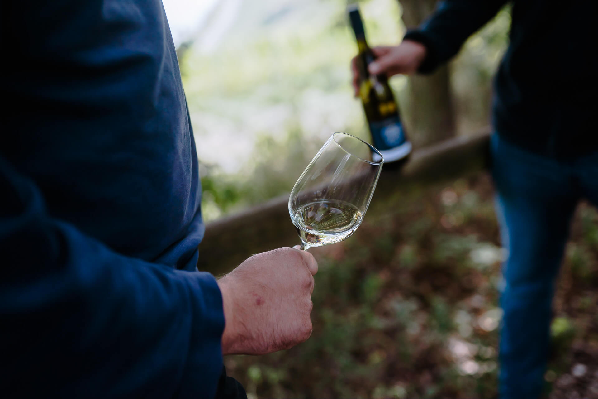 Wein probieren in der Natur Wein probieren in der Natur