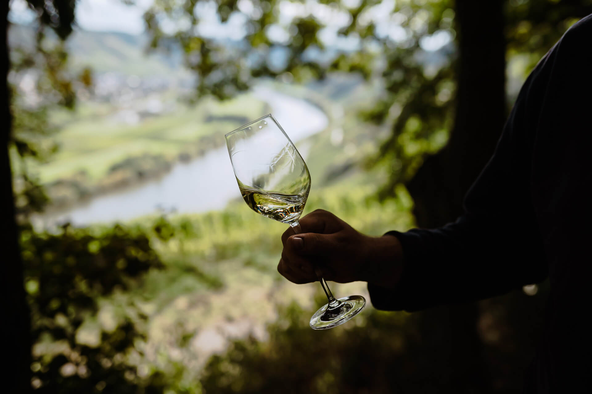 Weißwein im Glas Weißwein im Glas