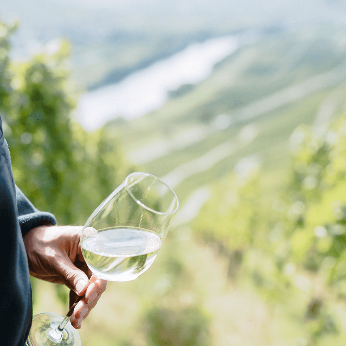 Weinprobe in der Natur