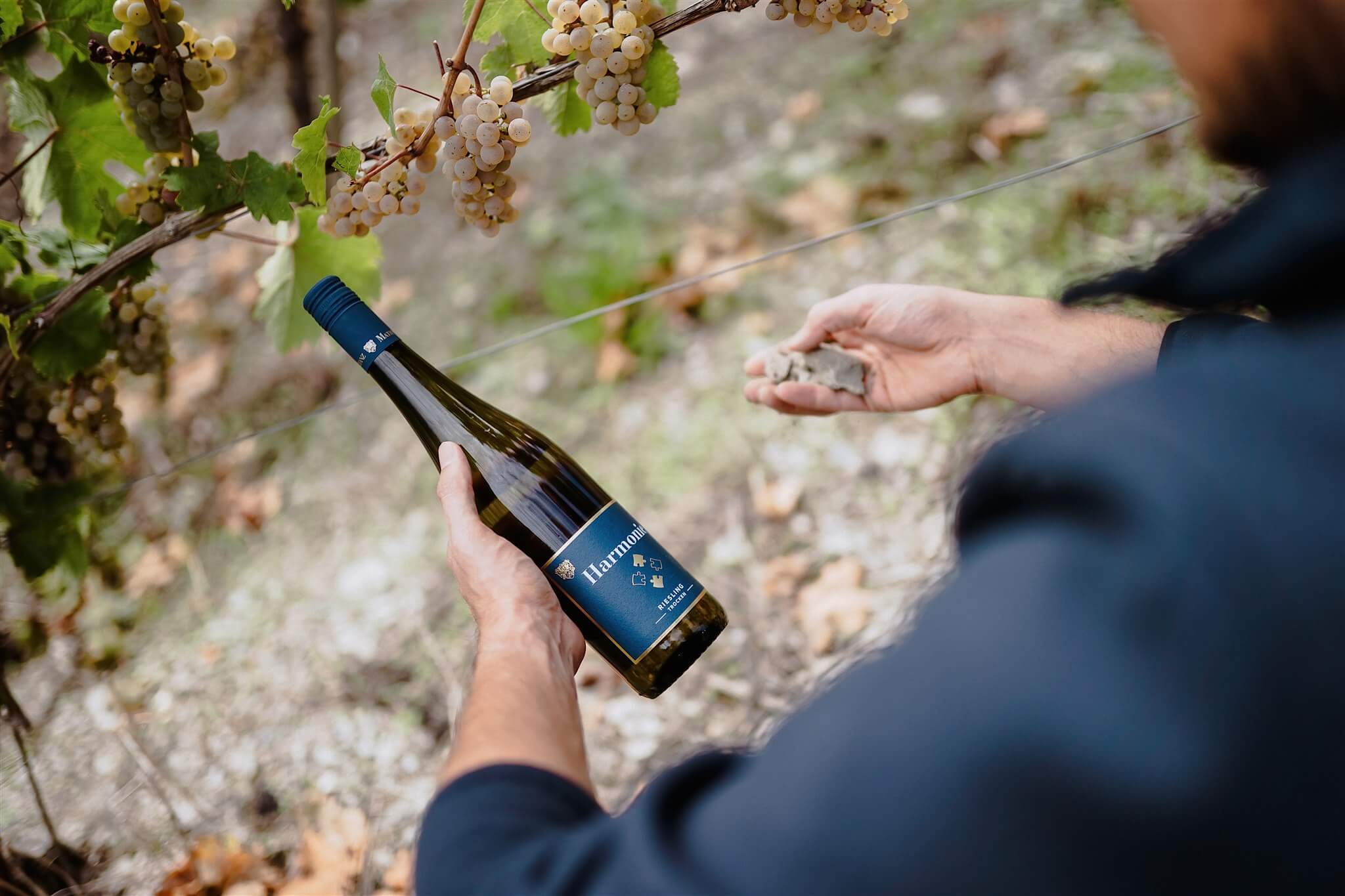 Weinflasche im Weinberg Weinflasche im Weinberg