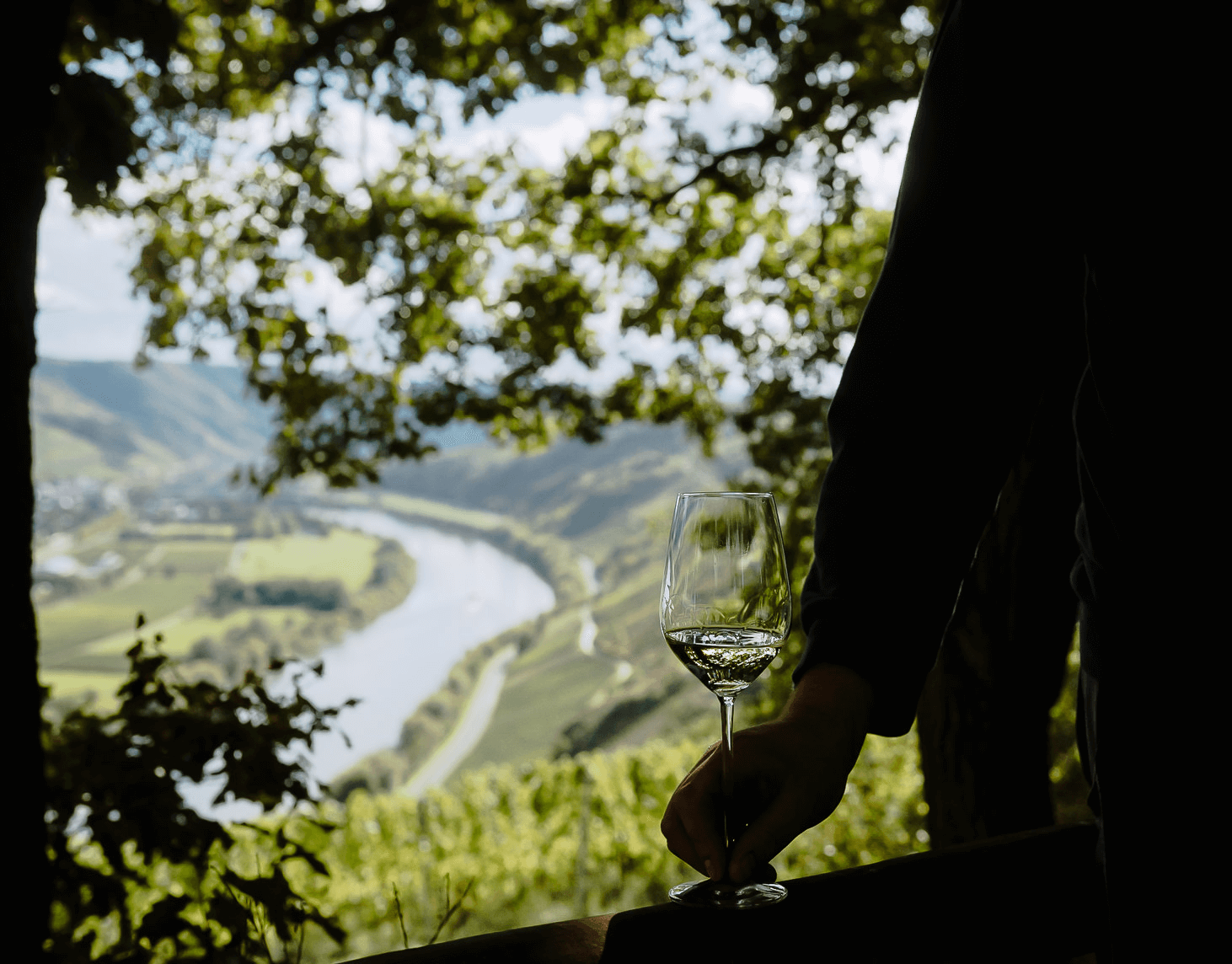 Mosel_Weinglas Mosel_Weinglas