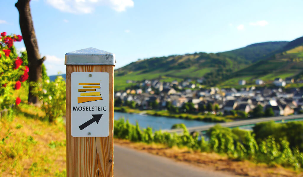 Moselsteig Moselsteig