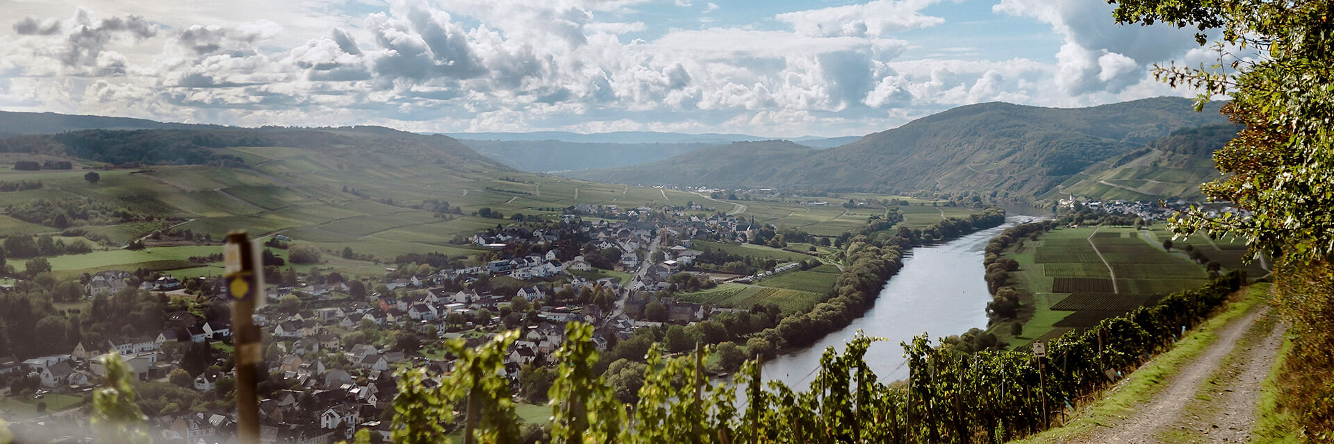 Mosellandschaft