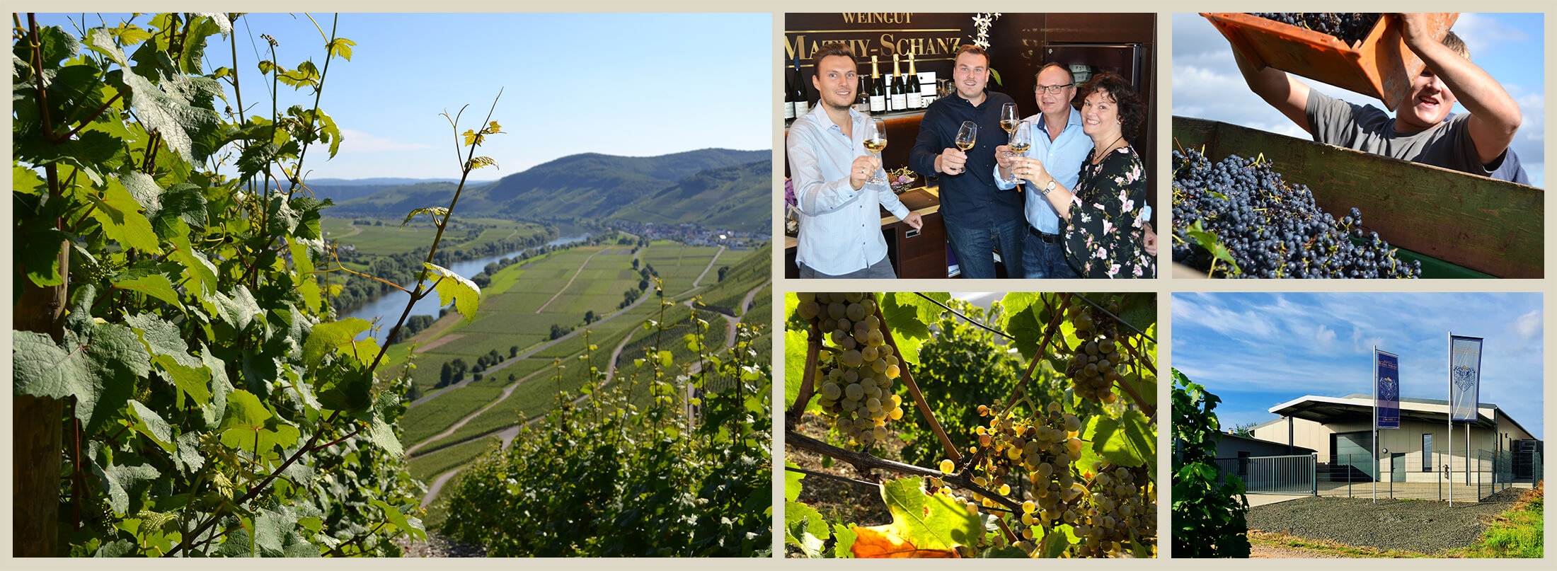 Weingut Impressionen Weingut Impressionen