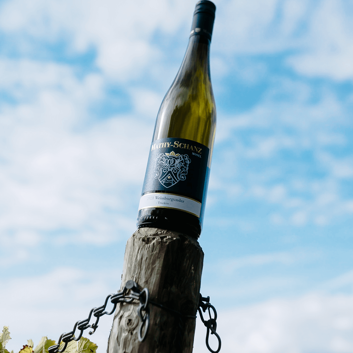 Weinflasche auf Pfahl im Weinberg