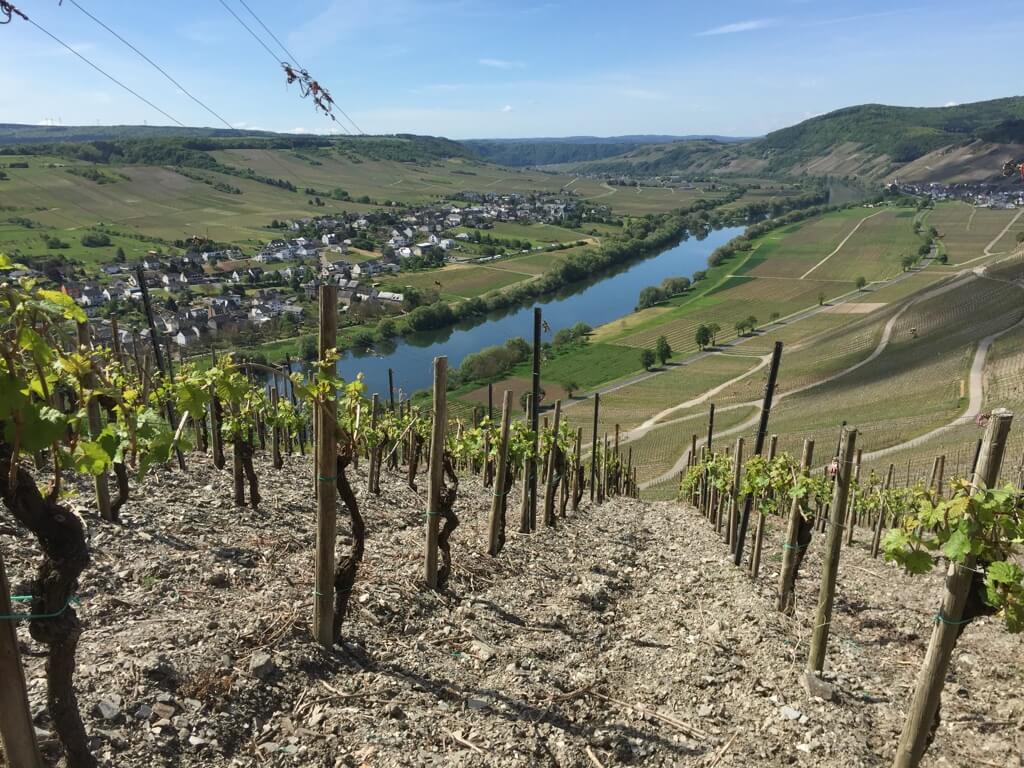 Moseltal Moseltal