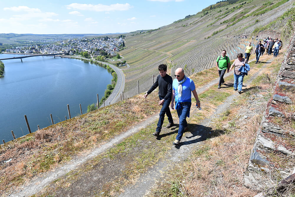 Weinwanderung Mehring